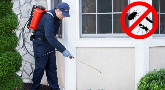 Torbalı Dezenfeksiyon böcek ilaçlama ve haşere kontrolü — ilaclama-tr.com